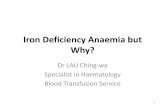 Iron Deficiency Anaemia but Why? - Hospital Authority...Iron Homeostasis 4 Absolute Iron Deficiency 1. Inadequate Iron Absorption 2. Blood Loss (1ml blood 0.5mg elemental Iron 1g/dl