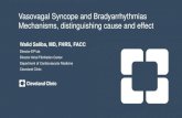 Walid Saliba, MD, FHRS, FACC/media/Non-Clinical/Files-PDFs-Excel-MS-Word … · Vasovagal Syncope and Bradyarrhythmias Mechanisms, distinguishing cause and effect Walid Saliba, MD,