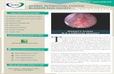 GLOBAL INTERSTITIAL CYSTITIS, BLADDER PAIN SOCIETY · Senior Consultant Urologist, ... New Delhi, India AUTHOR. Newsletter VOLUME 1, ISSUE 1 [APRIL 2019] Dear Colleagues, This year