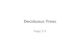 Deciduous Trees - Havelock Agricultural Education€¦ · Deciduous Trees Page 2-5 •Height: 15-25’ •Spread: equal spread •Leaf: Opposite, Star, Palmate, Serrate-Lobed (5-9)