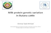 Milk protein genetic variation in Butana cattle€¦ · 10.03.2015, A. Said Ahmed 1 Ammar Said Ahmed Züchtu vgsbiologie u vd uolekulare Geetik, Huboldt‐Uiversität zu Berli, I