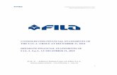 FILA Consolidated & Separate Financial Statements at Dec. 31, … · 2017-02-21 · Mr. Luca Pelosin Mr. Simone Franco Citterio Mr. Sergio Ravagli ... Mr. Nicola Bruni Alternate Auditors: