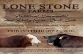Updated polled & dilutor status for the yearling Simmental ... · 3 4 lone stone envoy 136d fullblood male 1170747 lnk 136d 10 february 2016 dora lee’s equinox ff54t aplx envoy