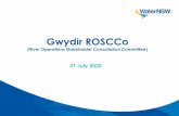 Gwydir ROSCCo (River Operations Stakeholder Consultation ... · 7/21/2020  · •The surface geology of the Gwydir catchment is made up of four main geological sequences: The Palaeozoic