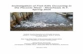 Investigation of Fish Kills Occurring in the Peconic River - Riverhead, NY Spring 2015 · 2016-02-03 · have made 2015 different from other years, is that spring algal blooms were