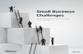 Small Business Challenges - USGIFusgif.org/system/uploads/5114/original/Small_Business_Challenges_1_.pdfSmall Business Challenges and Suggested Actions 1. Small Business Have Difficulty