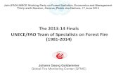 The 2013-14 Finals UNECE/FAO Team of Specialists on Forest ... · The 2013-14 Finals UNECE/FAO Team of Specialists on Forest Fire (1981-2014) Johann Georg Goldammer Global Fire Monitoring