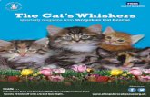 The Catâ€™s Whiskers ... The Catâ€™s Whiskers FREE Quarterly magazine from Shropshire Cat RescueIssue