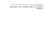 ComponentOne OLAP for ASP.NET AJAX Betaprerelease.componentone.com/help/Legacy/ASPNET/ASP... · ComponentOne TabControlfor ASP.NET AJAXrequires you to create an ASP.NET AJAX-Enabled