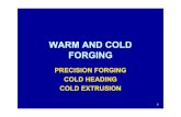 E4 Warm and cold forging - Széchenyi István Universityczinege/NNS/E4_Warm and cold forging.pdf · 2006-03-09 · WARM AND COLD FORGING PRECISION FORGING COLD HEADING COLD EXTRUSION.