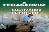 Año 2 / Edición 7 / Junio de 2016, Santa Cruz - Bolivia · - poblaciÓn bovina en bolivia al 2015 - comisiÓn internacional evaluÓ trabajos de sanidad en bolivia - dirigencia ganadera