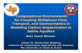 Computational Environments for Coupling Multiphase Flow ... · Computational grids can be refined to the scale of meters or kilometers Multiscale methods are designed to allow fine