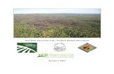 Bull Run Overseas Ltd.: Project Design Document · The Bull Run Overseas project (“Project”) encompasses 4,650 ha of tropical pine forests, grasslands, and mature humid broadleaf