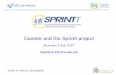 Caretek and the Sprintt project - Ecsel Ju€¦ · ECSEL JU / IMI2 JU Joint workshop Caretek, Adamo and Sprintt 2010: Caretek has been founded as a spinoff of Consoft Sistemi, a leading