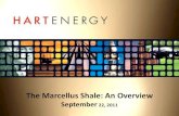 The Marcellus Shale: An Overview · •The Marcellus shale is naturally fractured throughout the Appalachian Basin. • It carries two vertical joint sets, and hydraulic fracturing