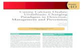 Chapter 40 · Chapter 40 Canine Calcium Oxalate Urolithiasis: Changing Paradigms in Detection, Management and Prevention Jody P. Lulich Carl A. Osborne Lori A. Koehler “A well-defined