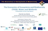 The Economics of Ecosystems and Biodiversity (TEEB): Water ... · Biodiversity and particularly wetland ecosystems are increasingly understood to be at the core of this nexus. Water