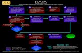 HAFA - Top Producer® Website · TO BEGIN HAFA PROCESS: SERVICER/LENDER SERVICER/ LENDER WITHIN 30 DAYS • Must consider Borrower’s eligibility for HAFA • And notify Borrower
