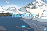 The Arctic is in the Far North. The North Pole is in the ... · •The Arctic is in the Far North. •The North Pole is in the Arctic. •The Arctic has very few plants because it