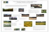 From Japanese Knotweed to Black-eyed Susans Gowing’s Swamp ... · From Japanese Knotweed to Black-eyed Susans Gowing’s Swamp, Concord MA By Laura Mattei, Director of Stewardship,