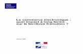 sayl-85.webself.net · Le commerce électronique et son impact sur l'aménagement du territoire en Ile-de-France à long terme Sommaire 1 SYNTHESE