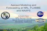 Aerosol Modeling and Forecasting at NRL: FLAMBE and NAAPS...14 September 2009 Hyer ESF Capabilities in Place at NRL • Fire Monitoring from satellite – WF_ABBA Geostationary data