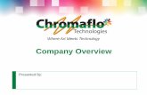 Company Overview...Company Overview 4 Vision, Mission and Values Vision • To be the Premier Provider of Global Colorant Technology Solutions Mission • To Build Stakeholder Value