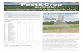 Issue: 2019.21 August 8, 2019 1 2 3 4 - Extension Entomology...In This Issue 2019 Western Bean Cutworm Pheromone Trap Report 2019 Corn Earworm Trap Report A Rough Season Can Lead To