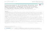 Characterization of molecular diversity and genome …...stem rust resistance in 190 Ethiopian bread wheat lines based on phenotypic data from multi-environment field trials and seedling