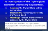 The Investigations of the Thyroid gland · 2011-10-05 Thyroid Gland 1 The Investigations of the Thyroid gland ©lassen-nielsen.com Essential for understanding this presentation: 1)