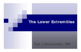 The Lower Extremities - COA · 2015-11-06 · The Lower Extremities “Calculating the whole person impairment by combining the lower extremity impairments and multiplying by 0.4