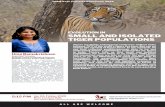 TIGER POPULATIONS SMALL AND ISOLATED Ramakrishnan.pdf · 2020-01-16 · their future. SMALL AND ISOLATED ... EVOLUTION IN Uma is interested in conservation genetics, molecular ecology