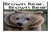 Brown Bear, Brown Bear - Amazon S3 · Brown Bears Unlike black bears who can only be found in North and Central America, brown bears can be found all over the world. Brown bears live