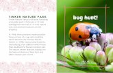 bug hunt! · Herbivore- animals that eat mostly plants Larva- the early form of an animal that looks very different from an adult (eg: tadpole, caterpillar) Metamorphosis- the process