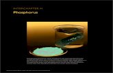 phosphorus - Zanichelli · phosphorus is approximately one million metric tons. Although some phosphate rock is used to make elemental phosphorus, most phosphate rock is used in the