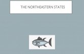 THE NORTHEASTERN STATES - SchoolSpeak · THE NORTHEASTERN STATES DC • Maine • Delaware • Pennsylvania • New Hampshire • Vermont • New York • Massachusetts • Rhode