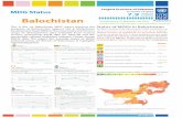 Largest Province of Pakistan MDG Status 7.9 Balochistan...Balochistan This is the 1st Balochistan MDG report tracking the progress of Balochistan against the 8 Millennium Development