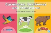 Staying Alive · Do you think humans are carnivores, herbivores or omnivores? What did you eat yesterday? Humans are able to eat meat and plants. Some people eat only plants, but