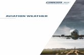 AVIATION WEATHER - microstep-mis.com · Aviation weather solutions constitute the majority and the most remarkable part of MicroStep-MIS product portfolio. The company has officialy