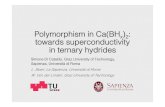 Polymorphism in Ca(BH towards superconductivity in ternary ... · z molecular crystals, known but unexplored!! Studied for hydrogen storage, rich in H!! (PRB, 82, 174107 (2010))!!