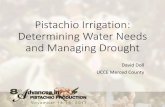 Pistachio Irrigation: Determining Water Needs and Managing … · 2017-11-28 · Determining Water Needs and Managing Drought David Doll UCCE Merced County. Water Use In the Orchard:
