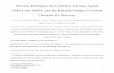 Mercury Binding to the Chelation Therapy Agents DMSA and ...george/pickup/hg-chelator.pdf · with a number of human health problems, including neurological problems [3], myocardial