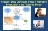 Impact of Sleep Deprivation Stress in Promoting ... · - promotes synaptic efficiency, protein synthesis, ... - memory consolidation, facilitates encoding new information • Psychologic