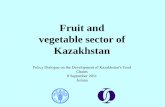 Fruit and vegetable sector of Kazakhstan sector_eng (2).pdf · Kazakhstan China USA Source: Statistics Agency, FAO stat. Customs Control Committee (KZ) and UN ComTrade external trade