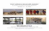 A Luxury Circuit in Tanzania & Kenya October 17 – 26, 2014...within the primary migration route of the wildebeest. The population figures are staggering: 1.5 million wildebeest,