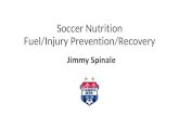 Soccer Nutrition Fuel/Injury Prevention/Recovery20%-35% Fat 15%-30% Protein Carbs Primary Fuel Source Carbs is the Catalyst to Burn Fat Glycogen-Stored Carb Energy 175Lb Athlete can