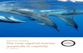 Executive summary The case against marine …...dolphins in captivity as there would be studying mankind by only observing prisoners held in solitary confinement.” — Jacques Cousteau,