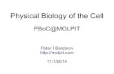 Physical Biology of the Cellat)MOLPIT.pdf · 2019-09-16 · Physical Biology of the Cell [1 ed.] Garland Science. 2008. 826 p. Robert Brooks Phillips, Jane Kondev, Julie Theriot.