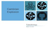 Cambrian Explosion - University of Wisconsin–Madisonteststrata.geology.wisc.edu/.../CambrianExplosion06142016.pdf · Cambrian “explosion” also stems from the fact that it is