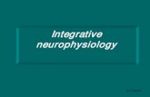 Integrative neurophysiologymed.bpums.ac.ir/UploadedFiles/CourseFiles/... · Consciousness requires proper functioning of the reticular activating system and both cerebral hemispheres.